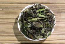 白茶贡眉属于什么茶？（属于白茶的一个品种！）