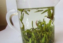 霍山黄芽是绿茶吗？（霍山黄芽的采摘！）