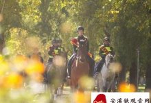 北京开通4.37公里城市马道 北京得有马才行